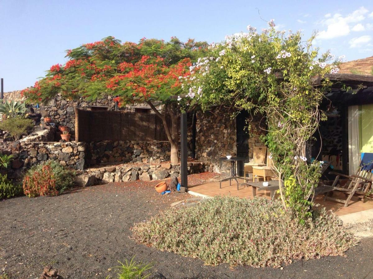 דירות Haría Apartamento Rural Oasis 2 מראה חיצוני תמונה